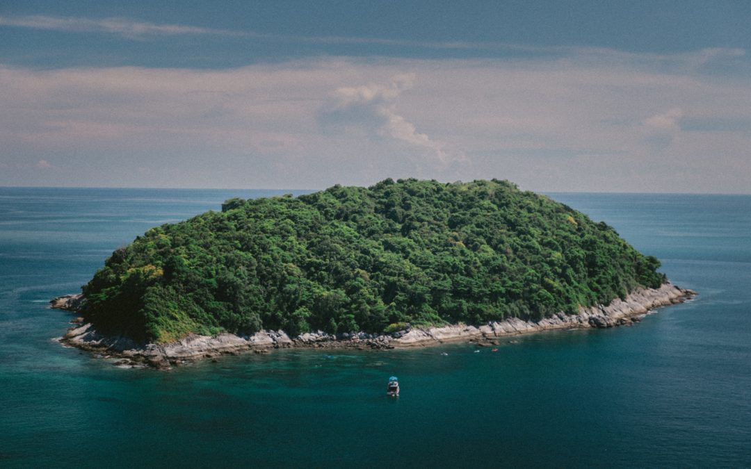 The Past Is Made by Walking: Labor Activism and Historical Production in Postcolonial Guadeloupe